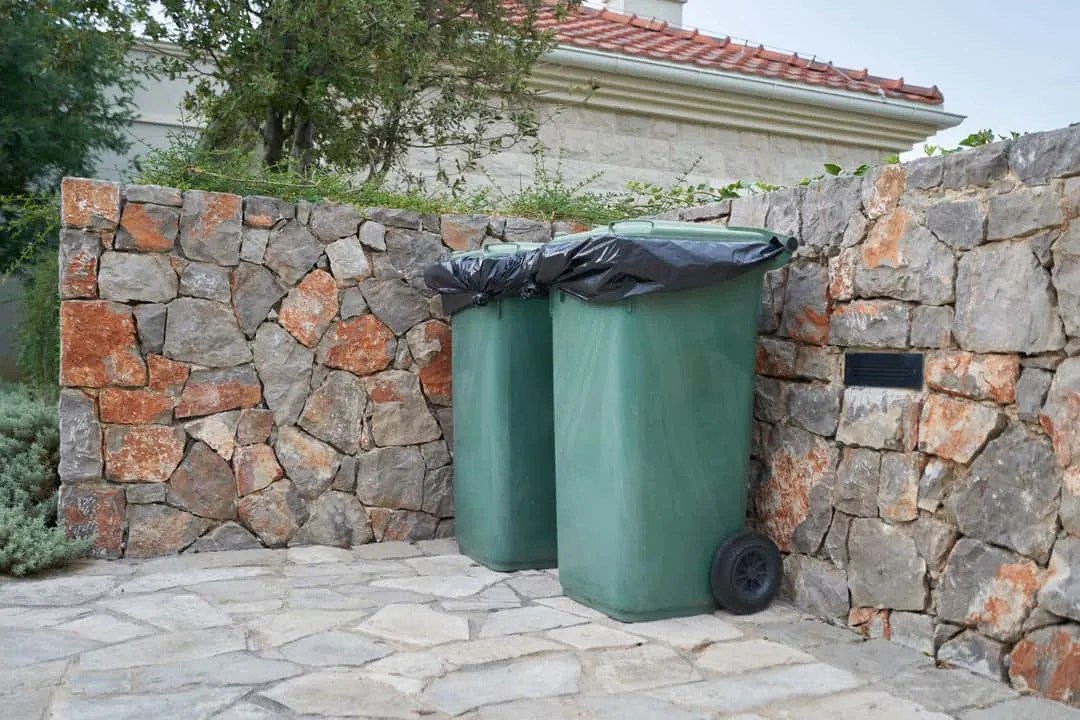 Why Mice Love Your Trash (And How To Keep Them Out) Pest Pointers