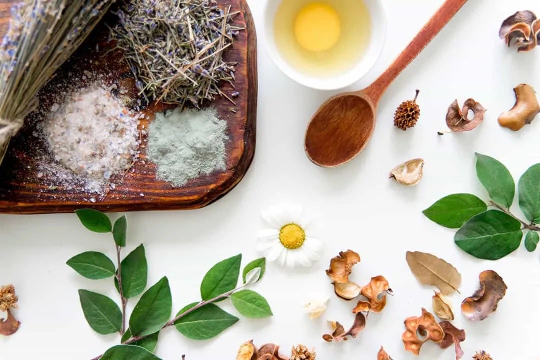 The Best 15 Natural Scents To Keep Mice Out Of Your Compost Pest Pointers