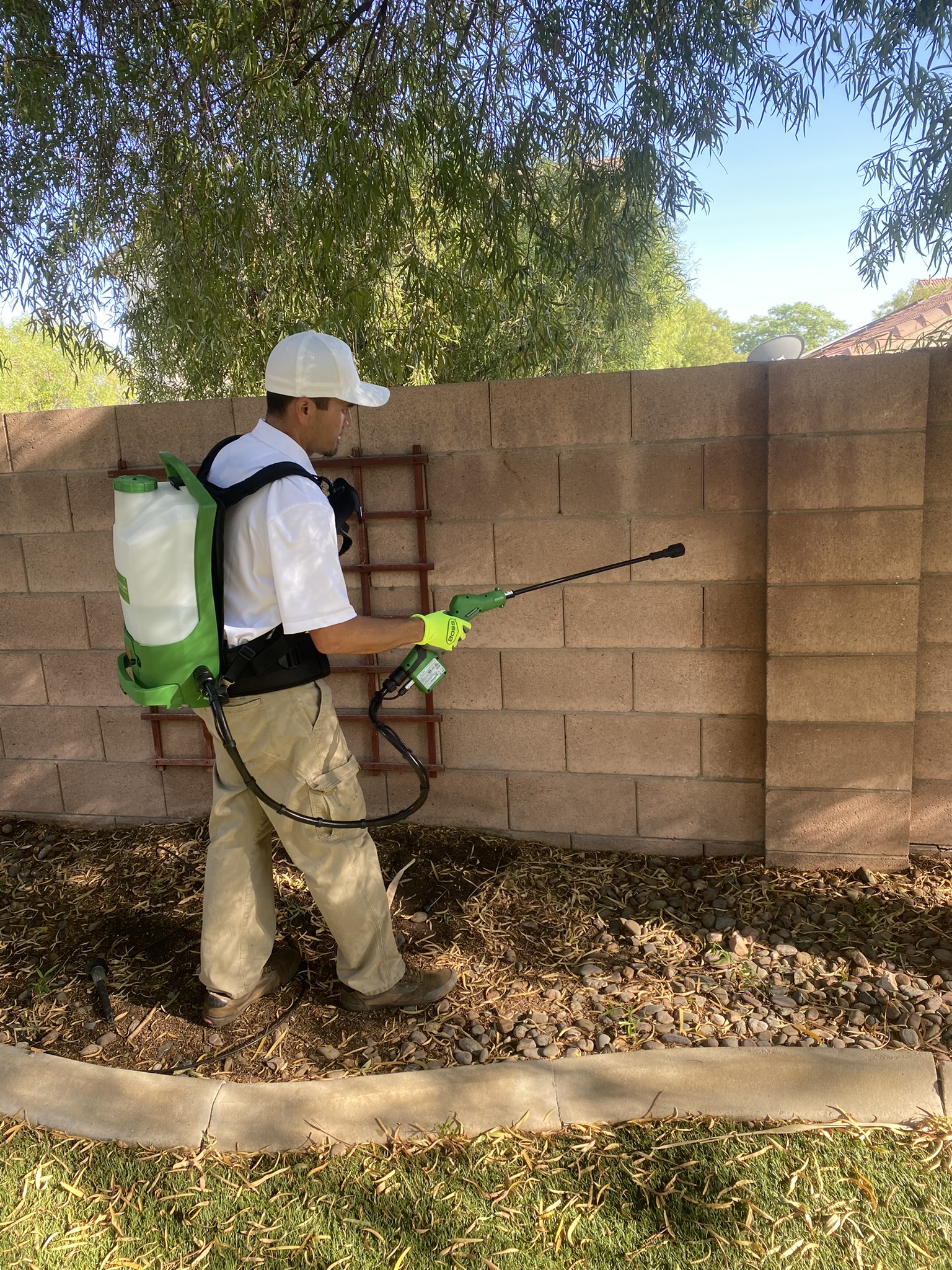 Pest Control Las Vegas The Exterminator