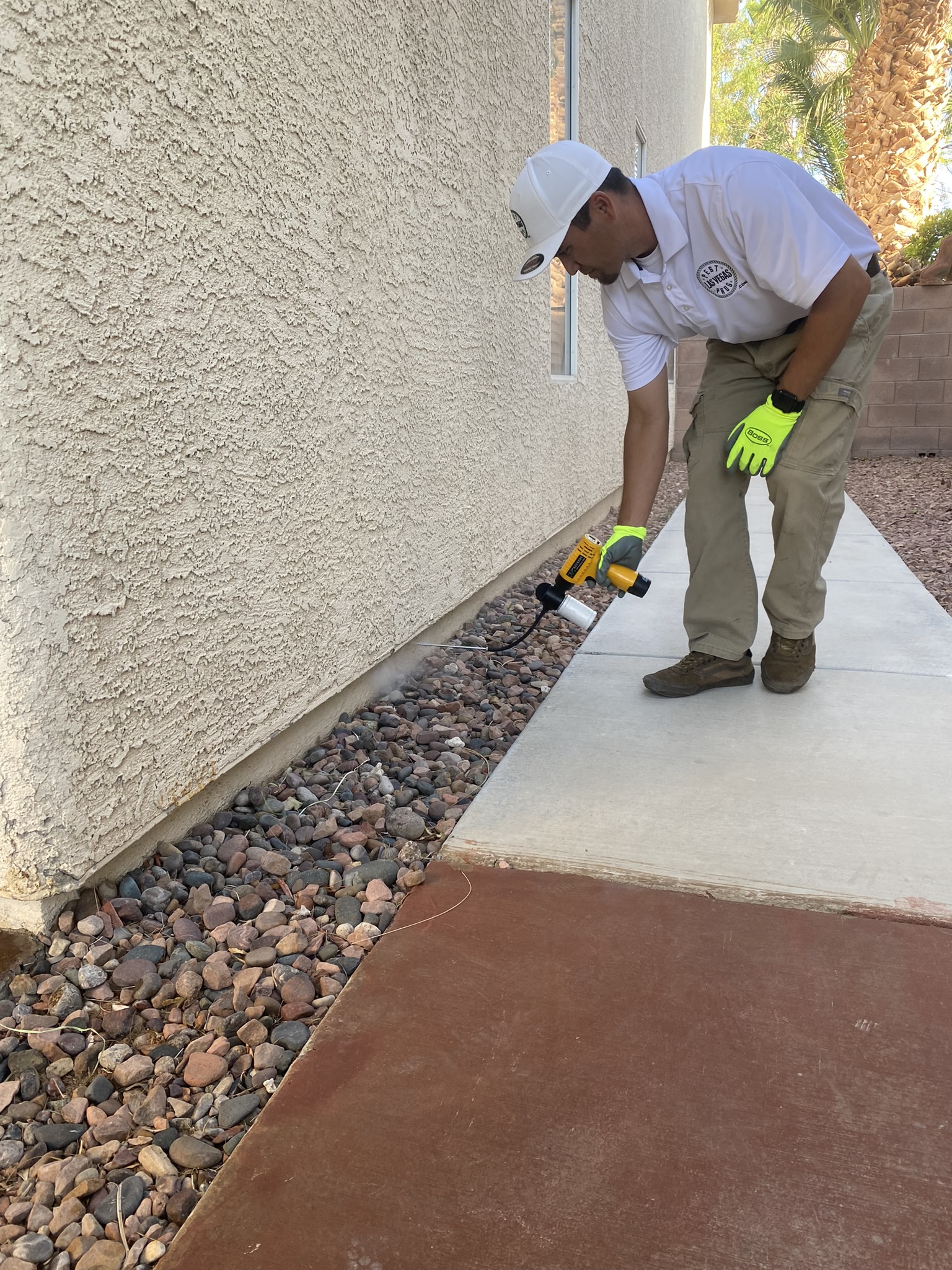 Pest Control Las Vegas The Exterminator