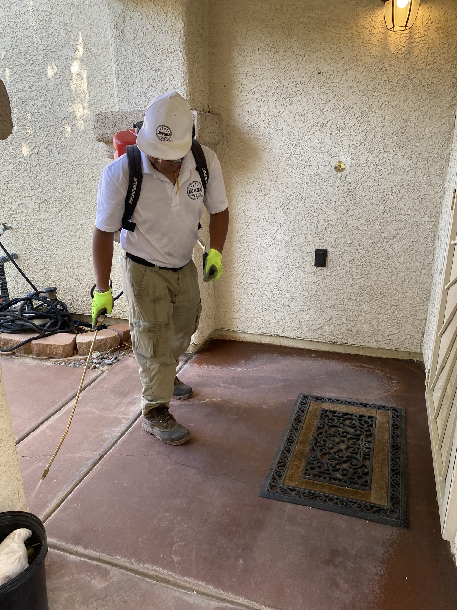 General Pest Control Services Las Vegas