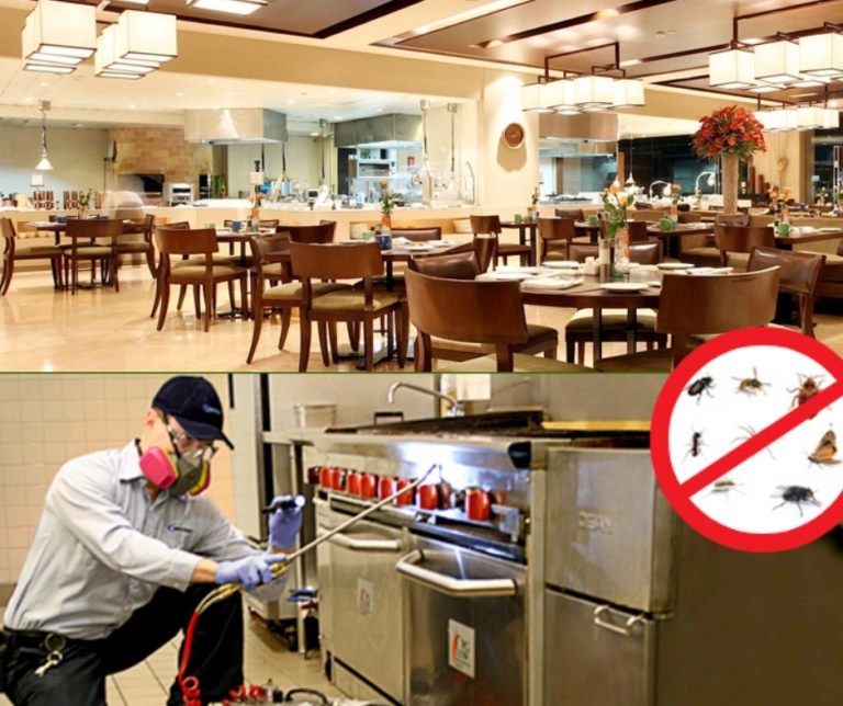 Pest control in Hotels/Restaurant Pestronics