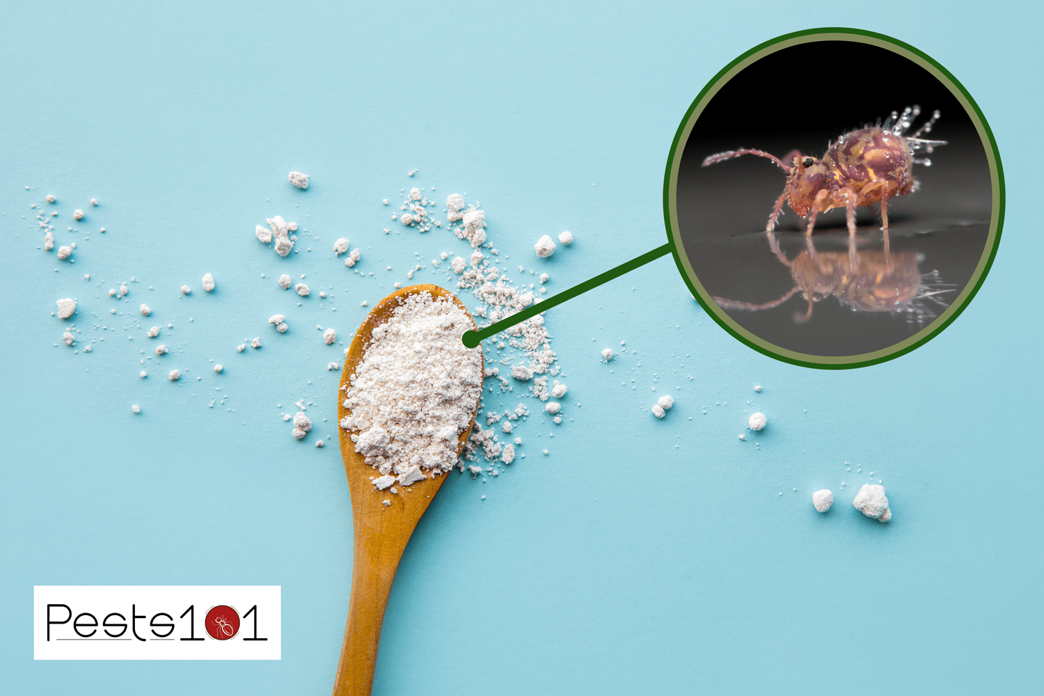 Does Diatomaceous Earth Kill Springtails?