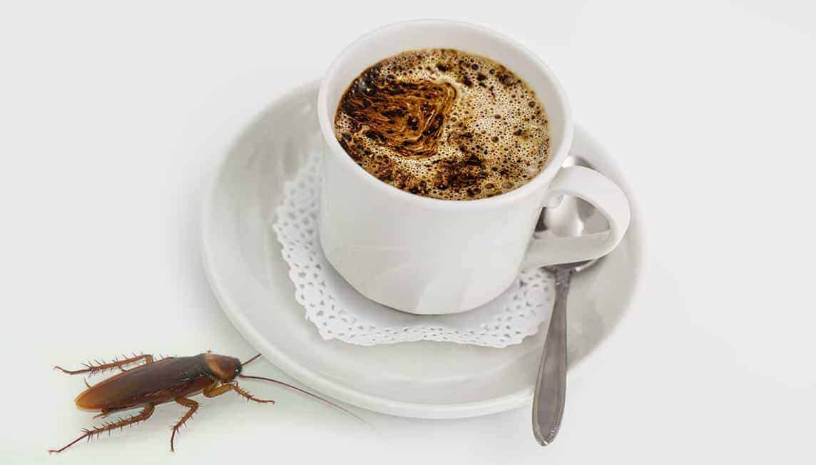 Natural Roach Repellents & Home Remedies PestSeek