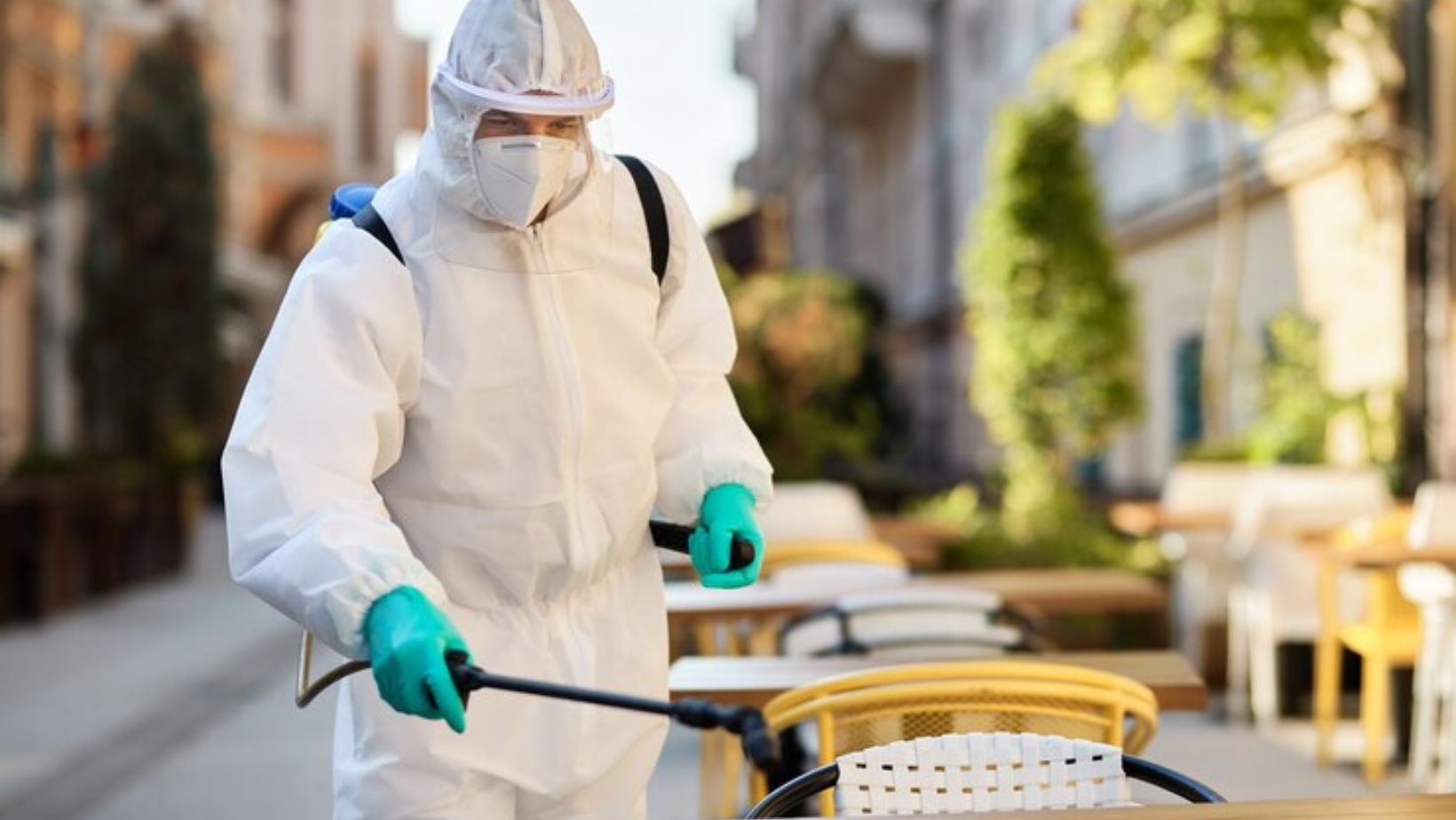 Pest Control Miami 8888100136 Pest Service Quote