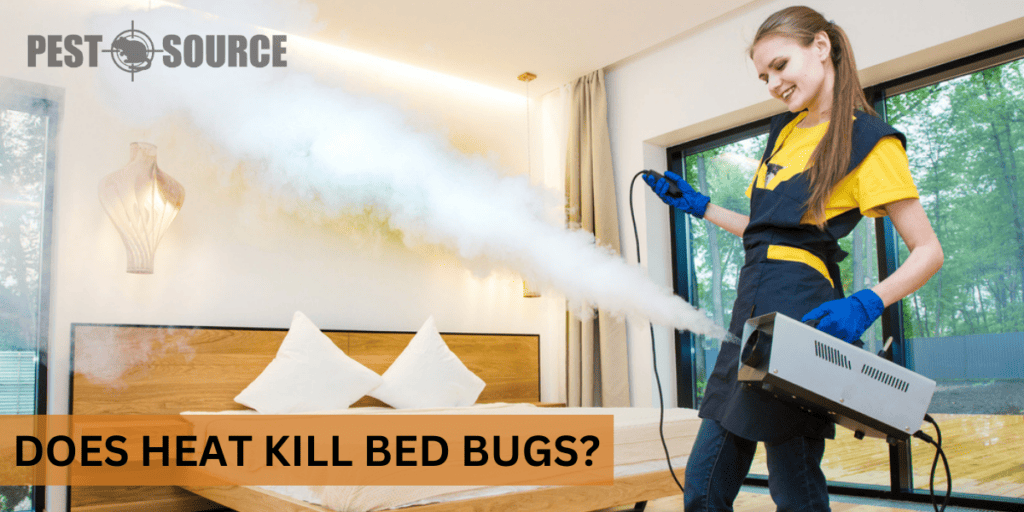 Does Heat Kill Bed Bugs? Pest Source