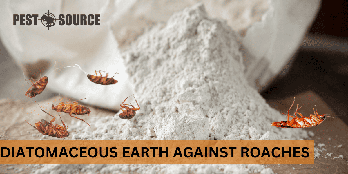 Does Diatomaceous Earth Kill Cockroaches? Pest Source