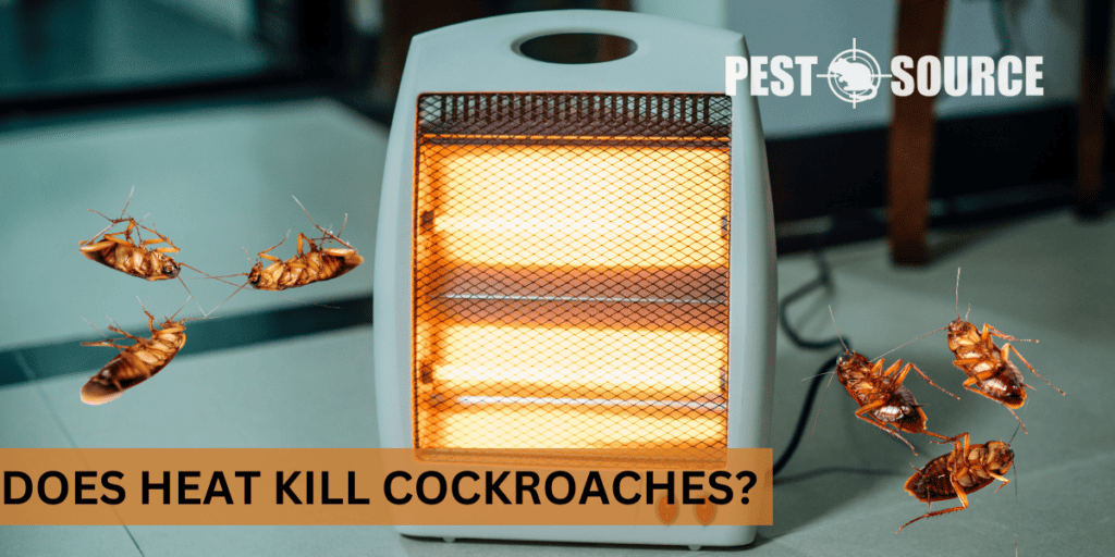 Does Heat Kill Cockroaches? Pest Source