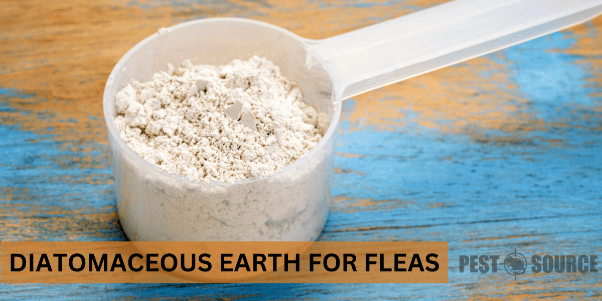 Diatomaceous Earth for Fleas Pest Source