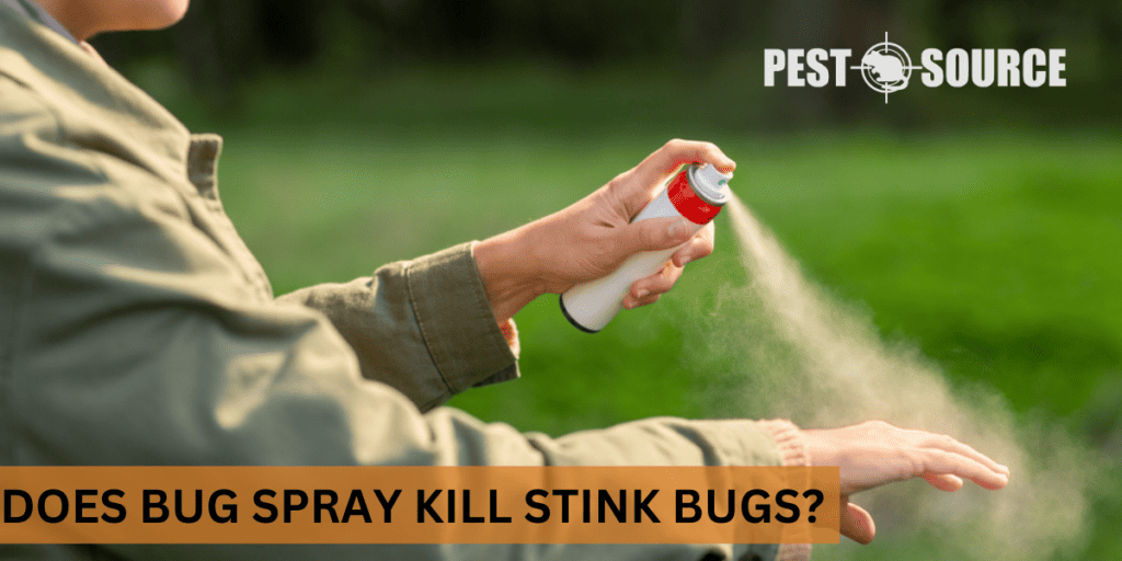 Does Bug Spray Kill Stink Bugs? Pest Source