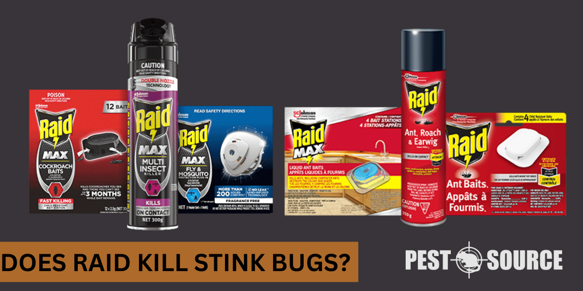 Does Raid Kill Stink Bugs? Pest Source