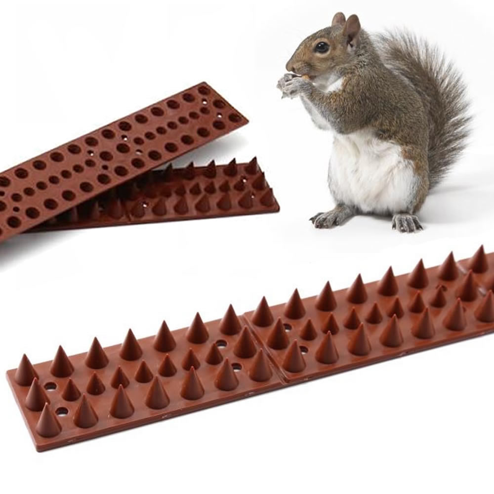 * Anti Squirrel Spikes Buy Online & Save Free USA Shipping