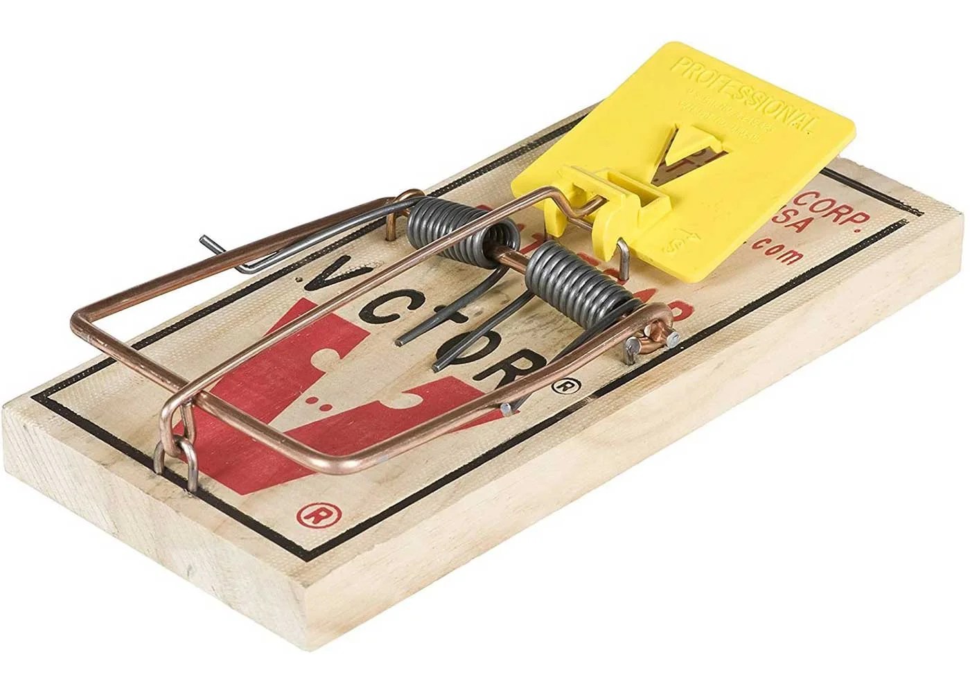 The 7 Best Rat Trap Review and Buying Guide