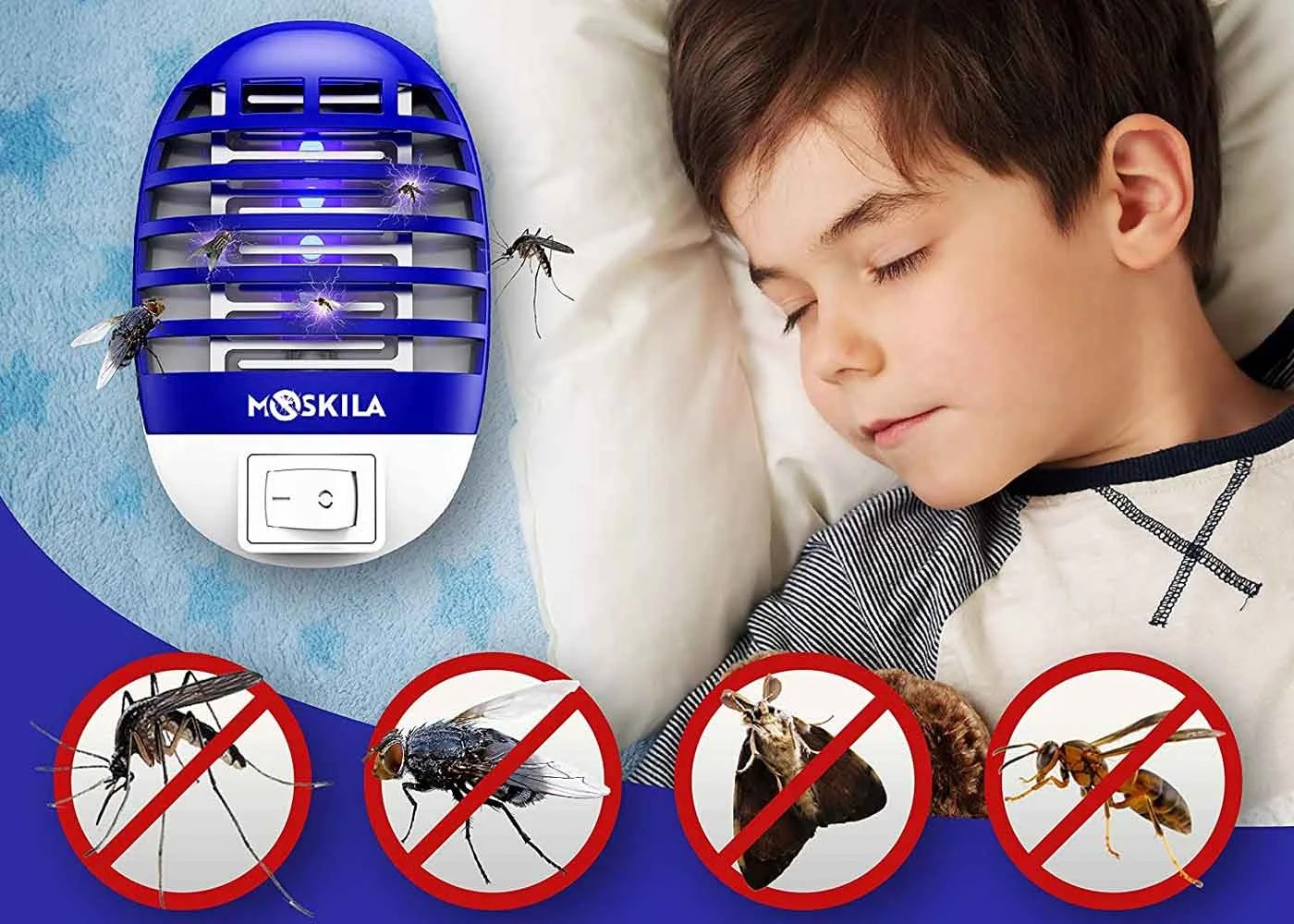 Best Fly Trap for Indoor & Outdoor Use Buying Guide