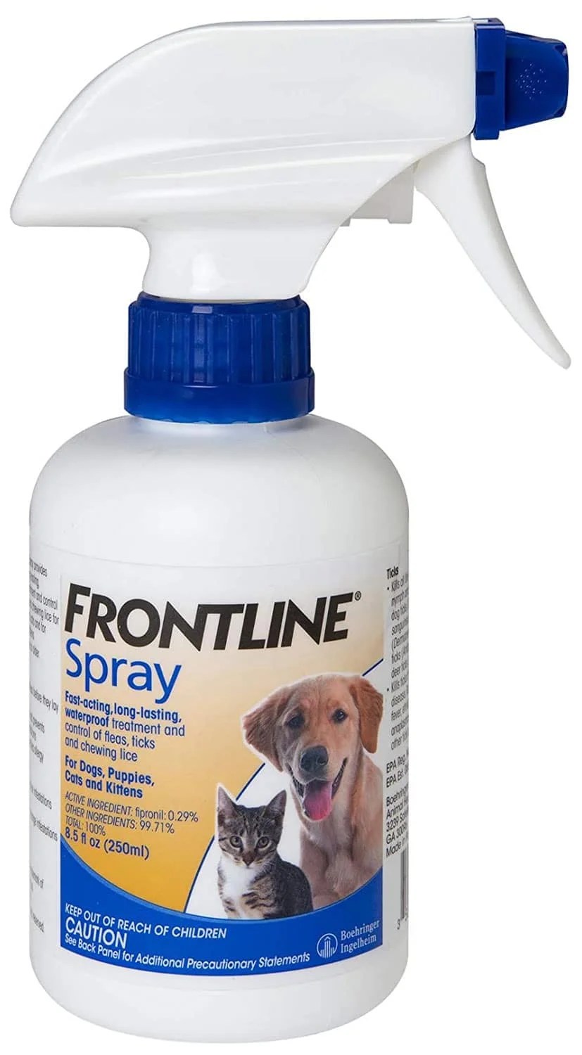 Best Flea Spray for Dogs Reviewed Protect Your Puppies