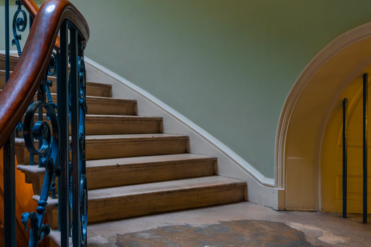 Can Bed Bugs Travel From Upstairs to Downstairs? Pest Wisdom