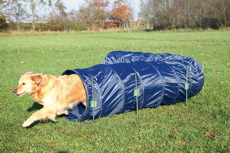 Dog Agility Basic Tunnel for Dog Training ø 60 cm/5 m Pet Bliss Ireland