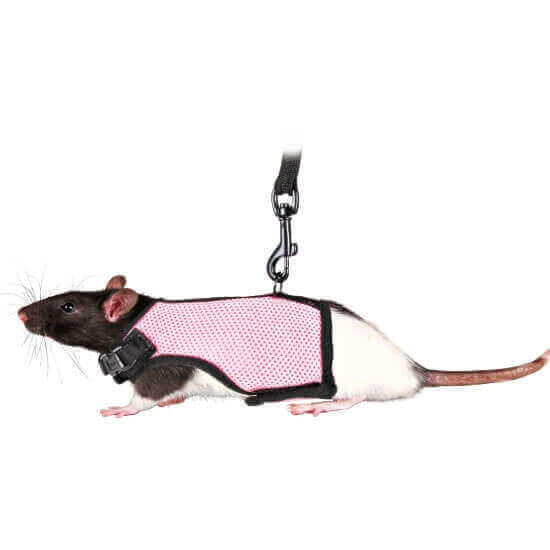 Trixie Soft Harness for Rats and Similar Pets Pet Bliss Ireland