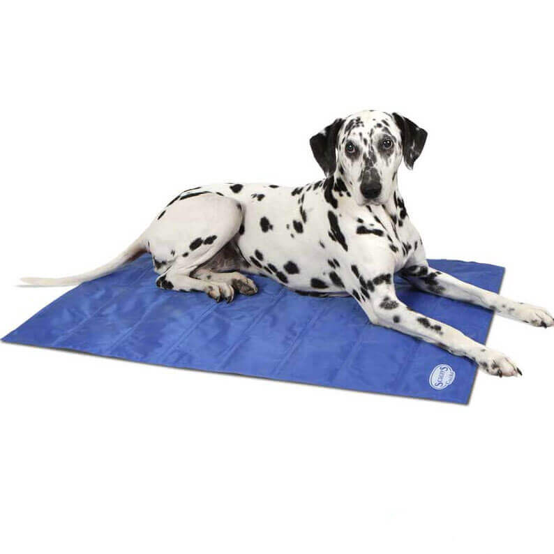 Dog heating pads and dog cooling accessories PetBliss Pet Shop Ireland