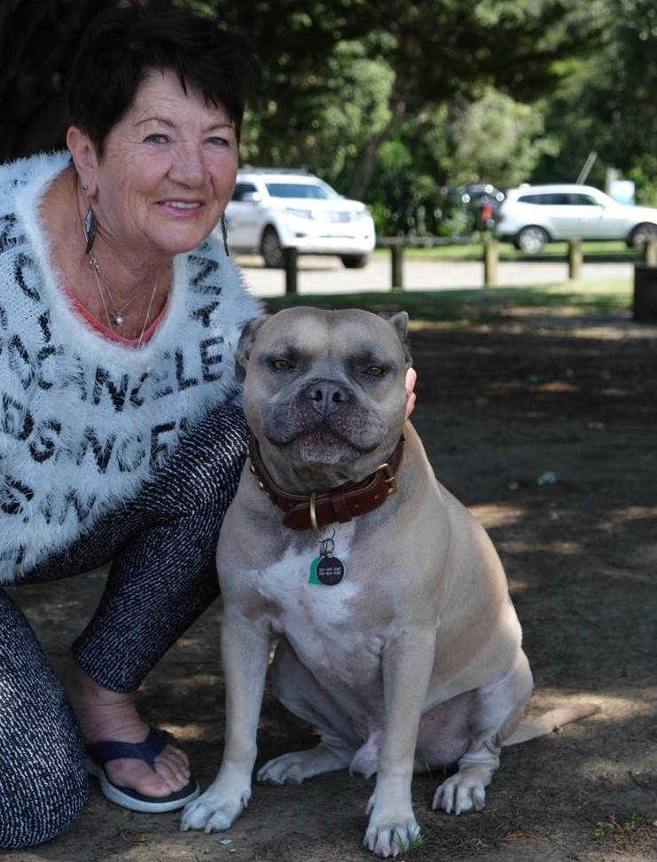 Testimonials Pet Express Animal Transport Reviews