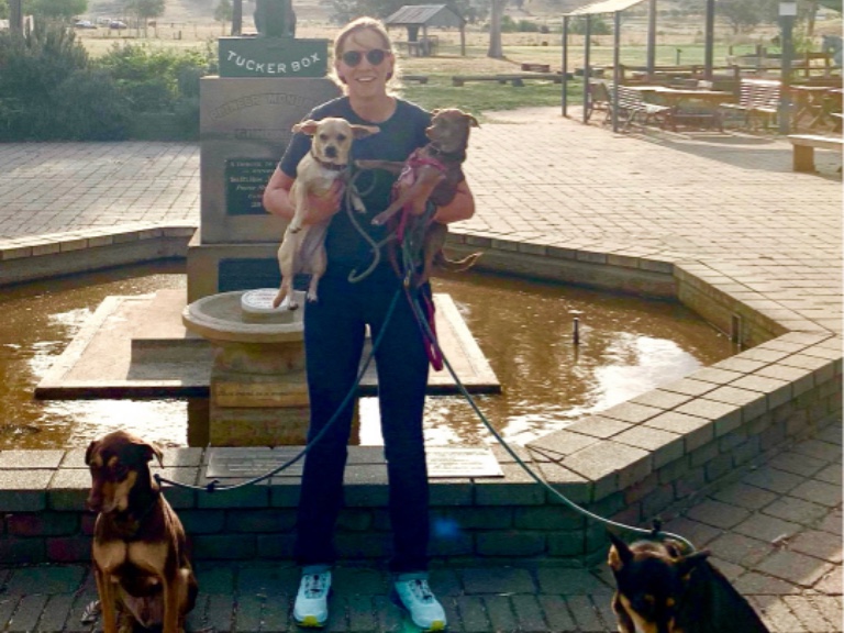 Contact • Pet Express • The Pet Travel Experts