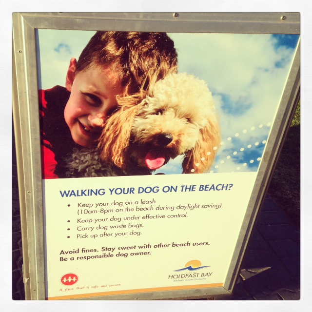 Dog Friendly Beaches South Australia
