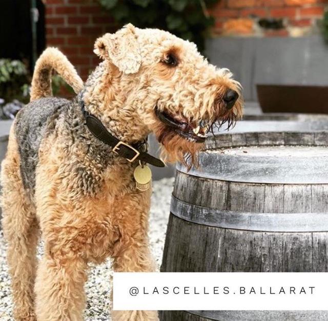 PetFriendly Ballarat & Bendigo