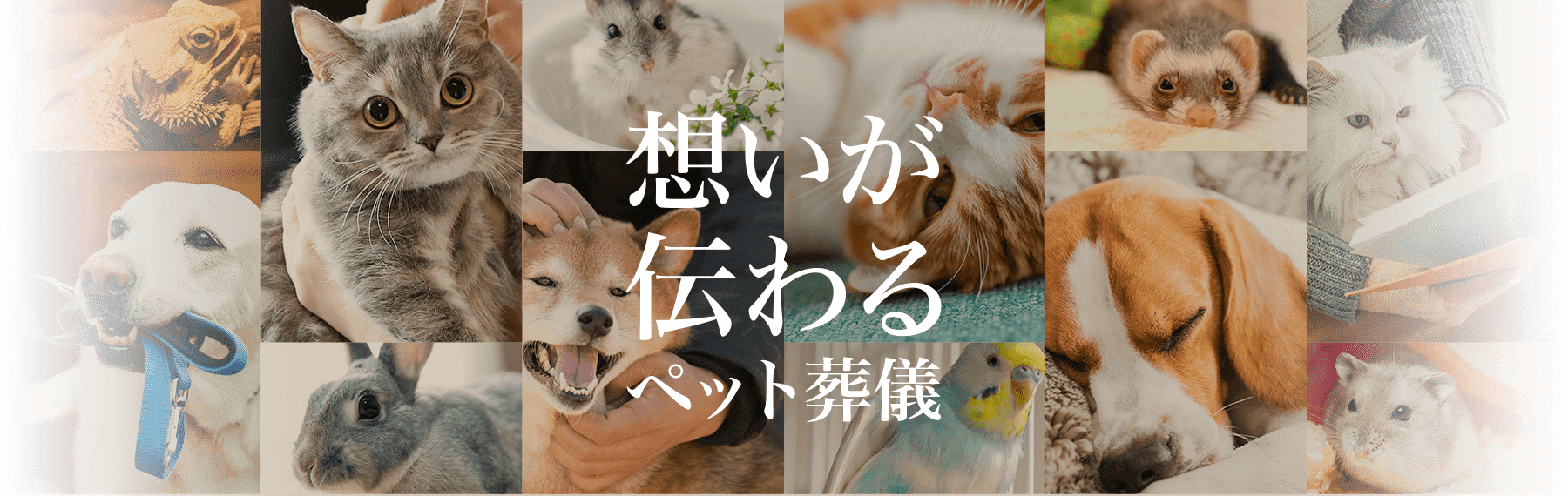 みんなのペット火葬の口コミ・評判 優良ペット葬儀社ガイド