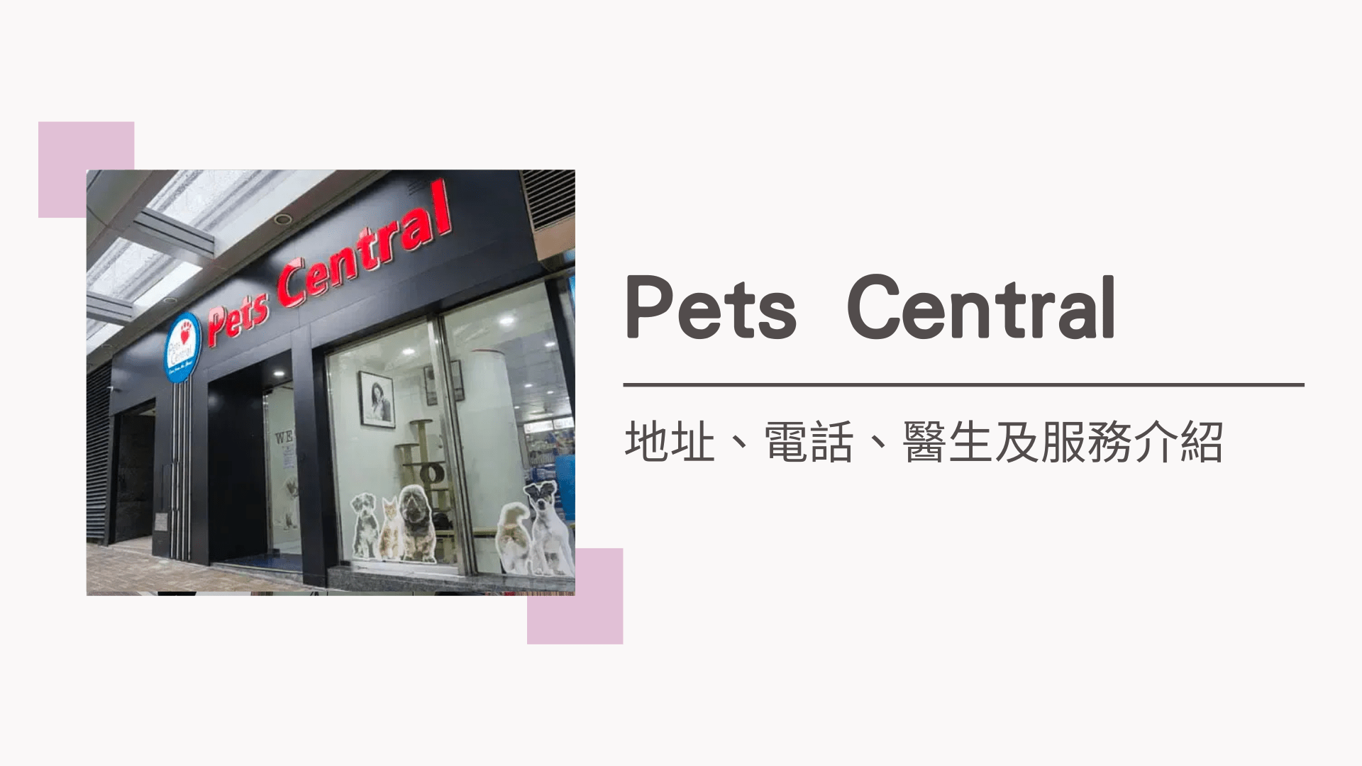 享和動物醫療中心：電話、地址、醫生及收費 PetGrid
