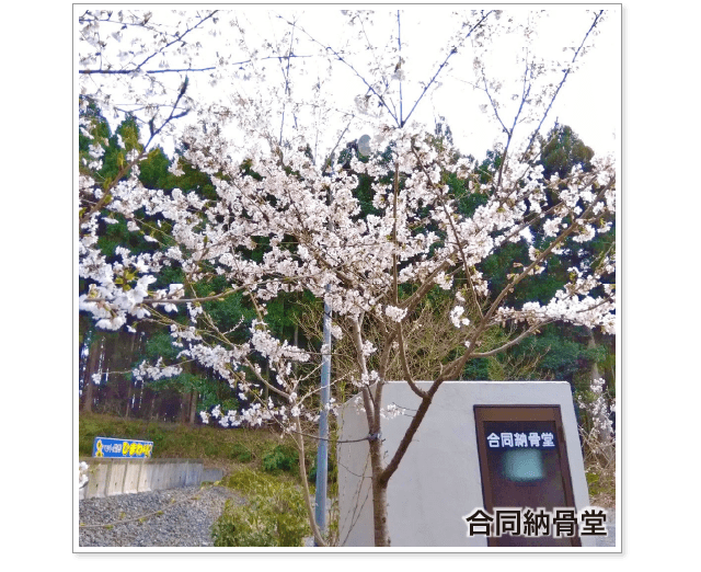 [ペット愛葬 ひまわり] 滋賀県長浜市のペット火葬・ペット供養・ペット葬儀