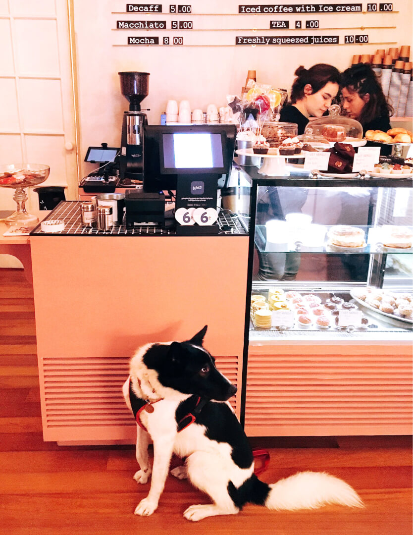 Кафе «Lily Vanilli» — PetTrips