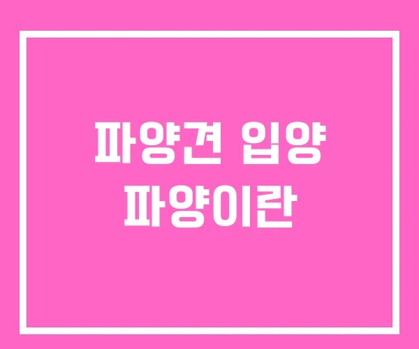 파양견 입양 파양이란