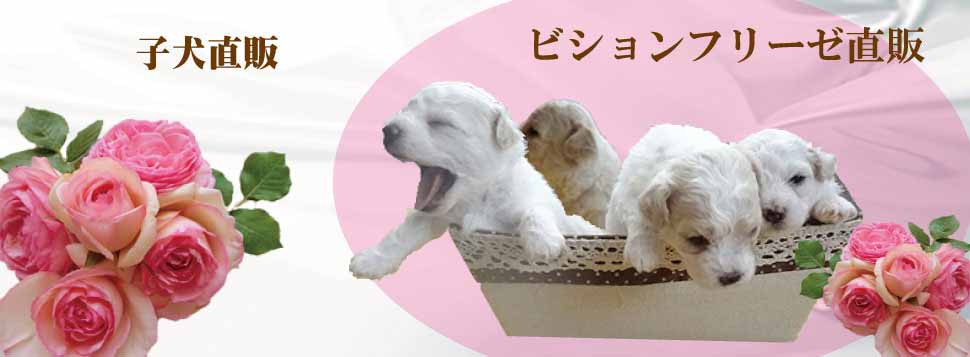 ペットライフサポート RUFF・RUFF ペットセレモニー ペット火葬 ペットのご葬儀 子犬販売 関東 栃木 小山市 ペットホテル ペット