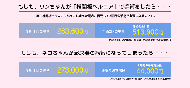 アニコム損保のペット保険見積もり｜ペット保険のNTTイフ