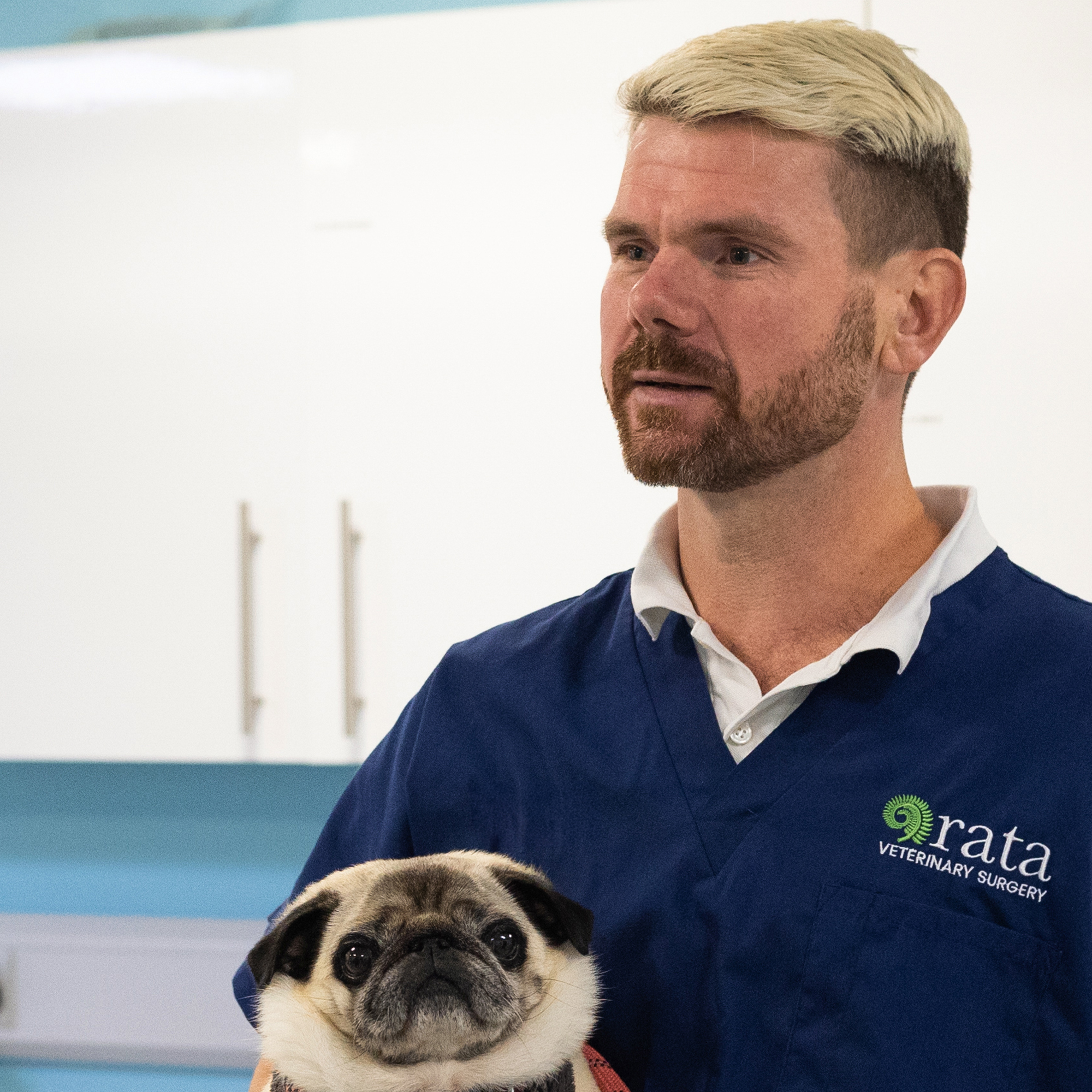 Meet the Team » Rata For Pet Owners