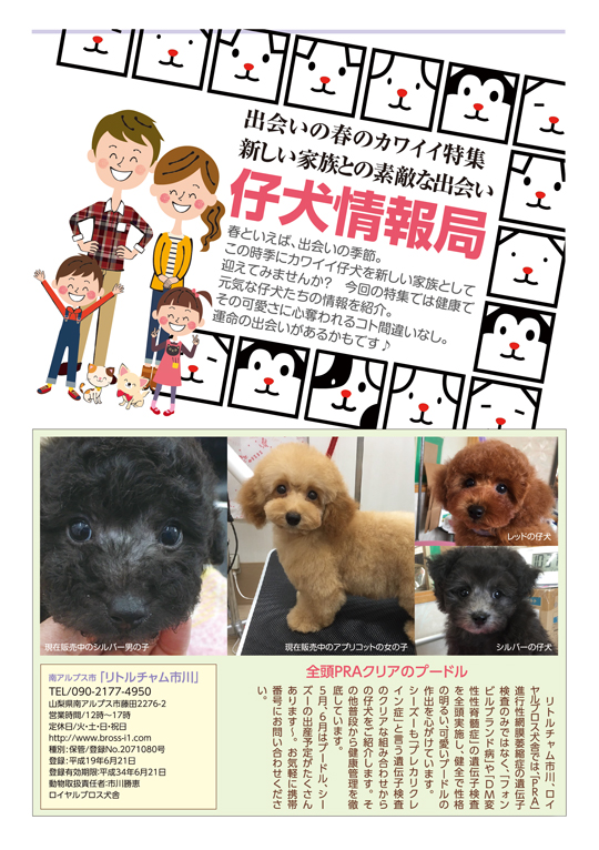 【仔犬情報局】新しい家族との出会い 山梨のペット情報 ペット同伴OK 愛犬同伴OK ペット雑誌バディの情報サイト