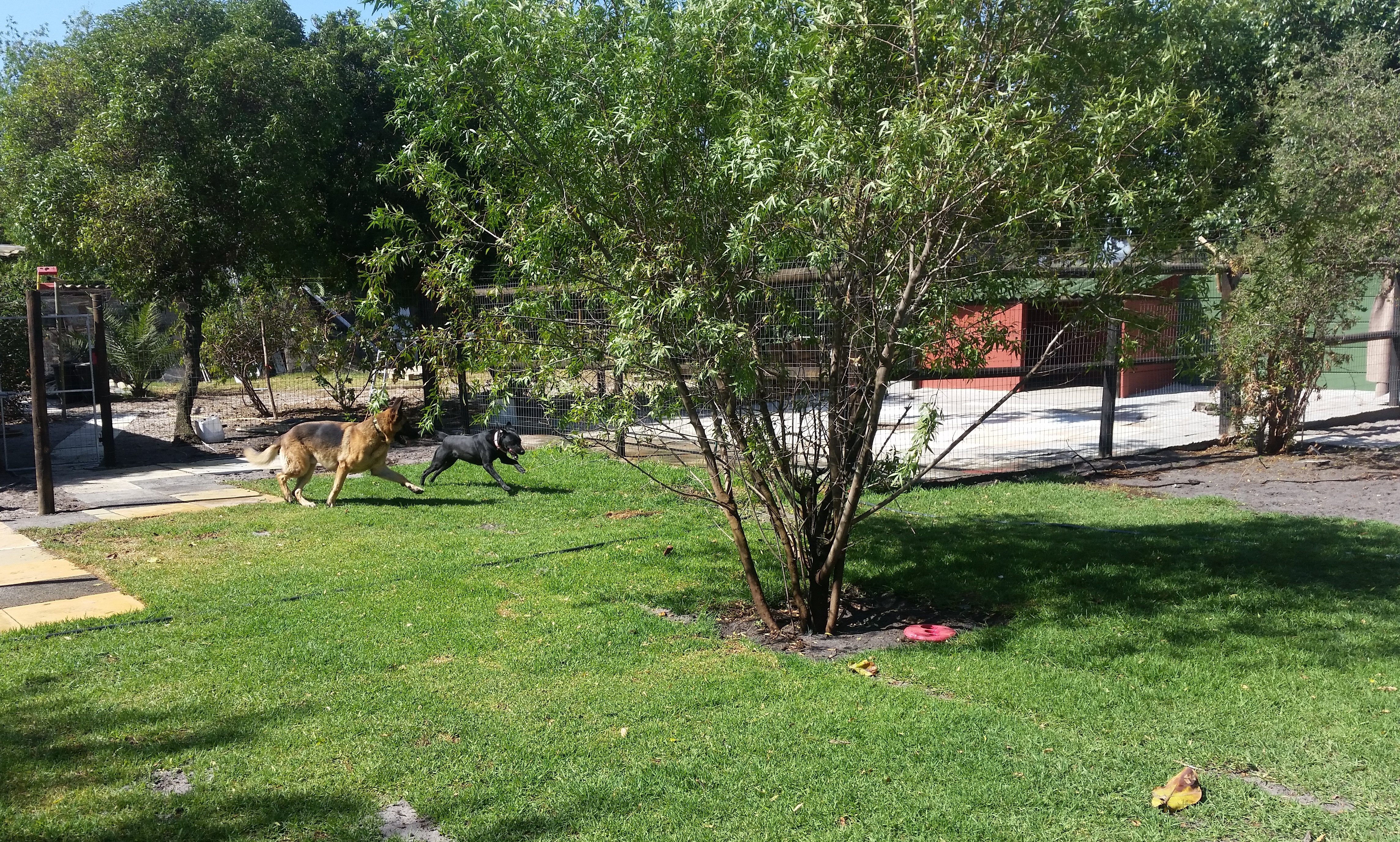 Pet Cottages Boarding PetAdvisor