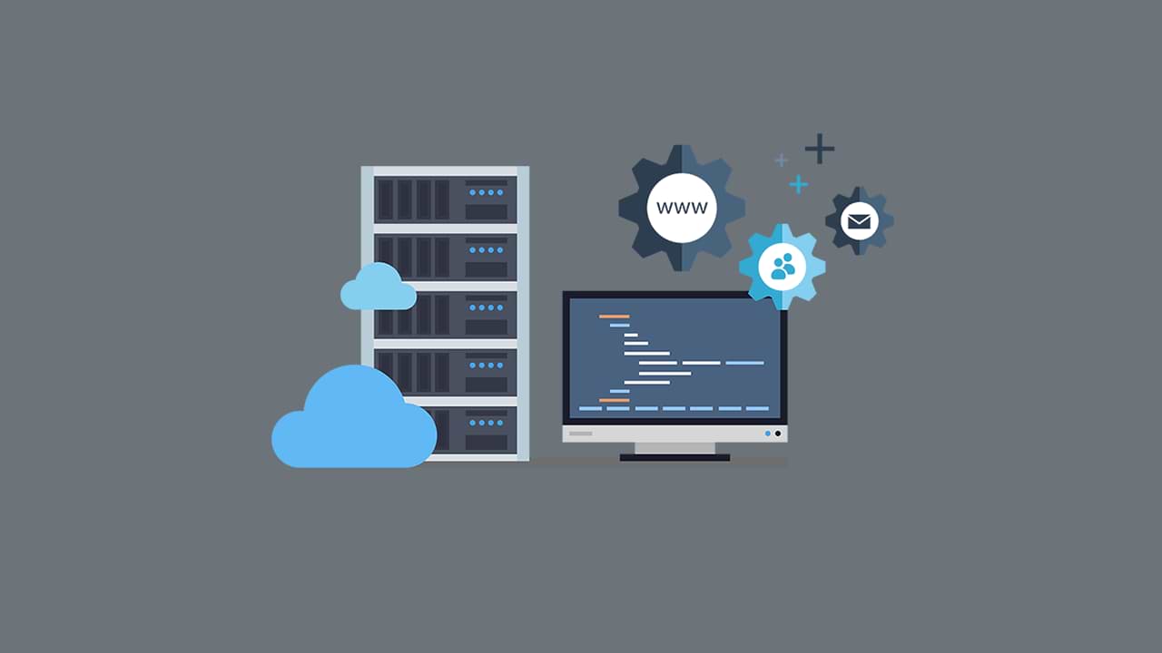 Dedicated Hosting Petal Host