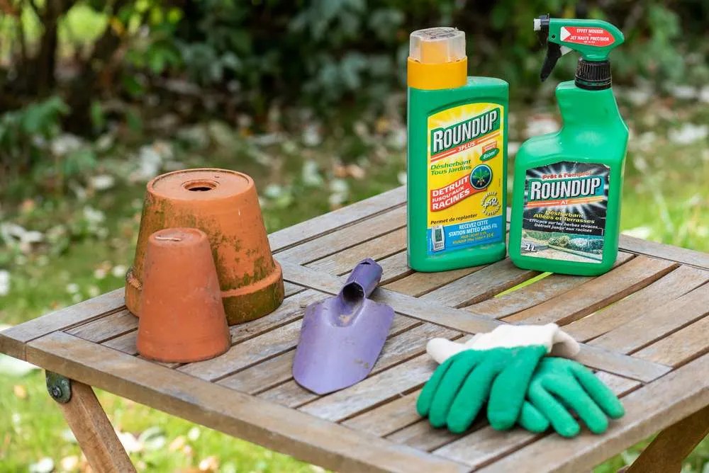 8 Weed Killer That Won't Kill Flowers Petals And Hedges