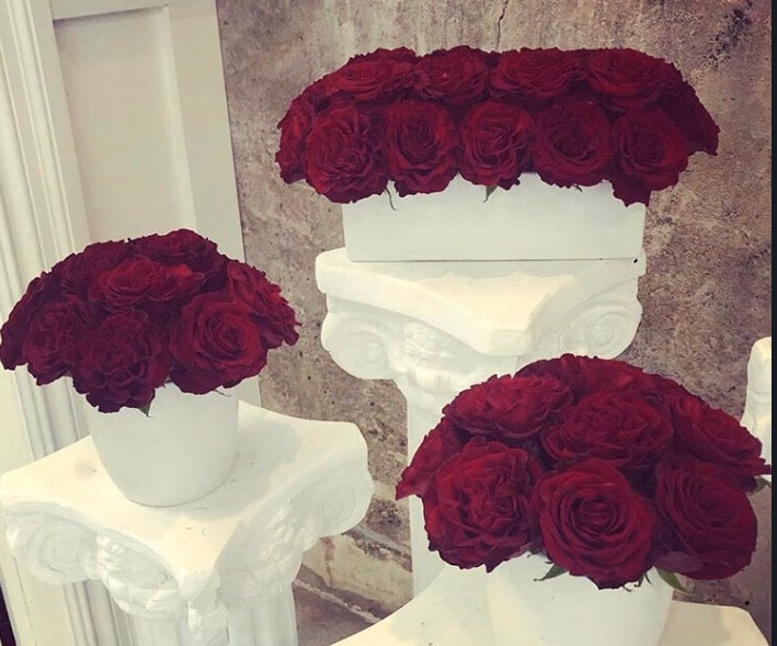 Petals Fleurs Floral & Gift Boutique