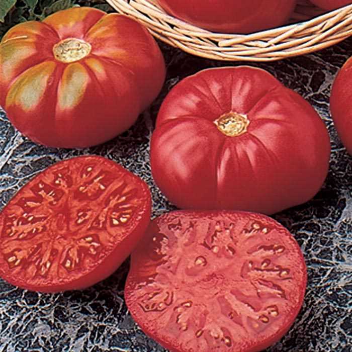 Tomato ‘Caspian Pink’