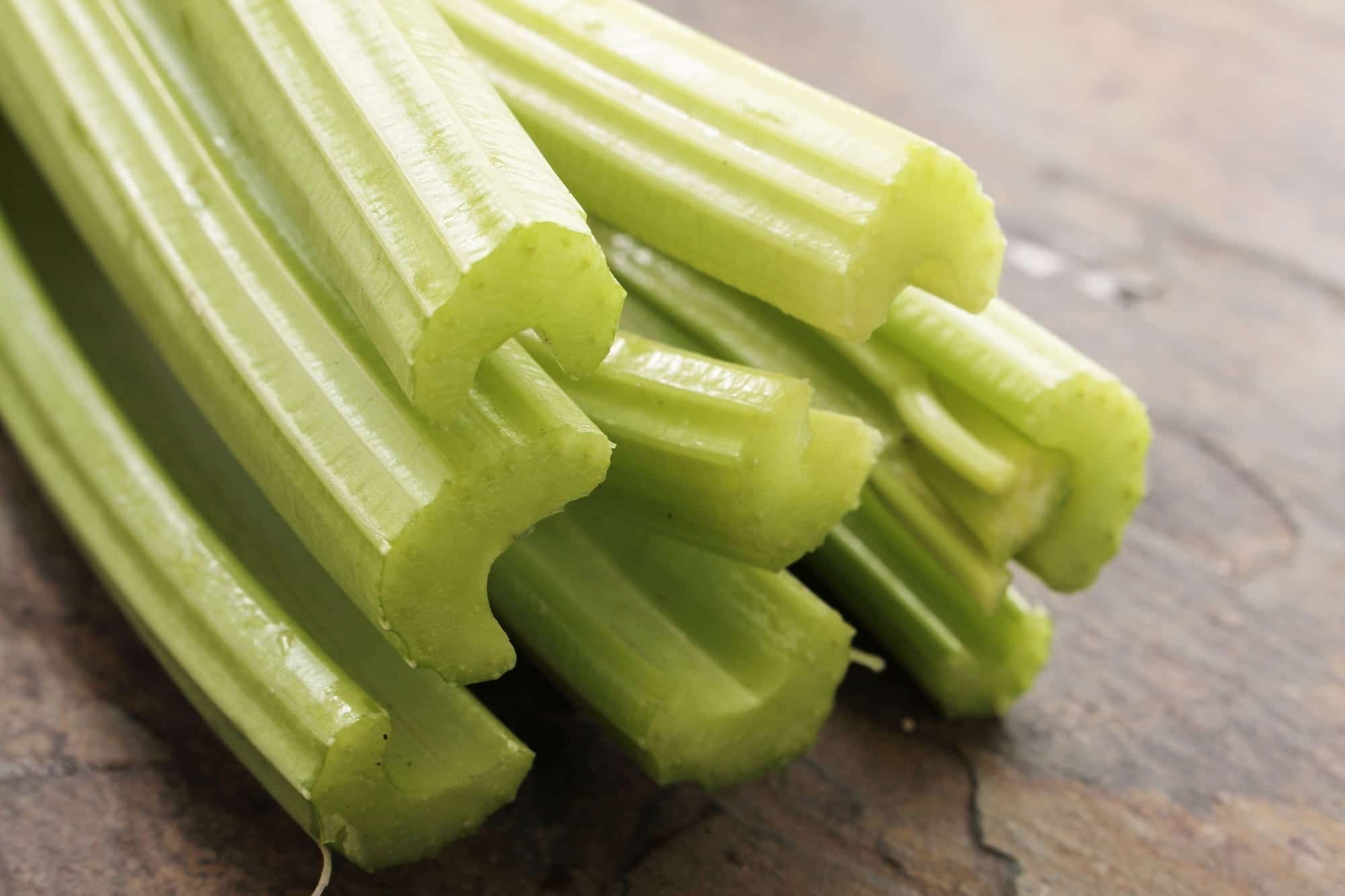 Can my dog eat celery? Benefits and recipe Pet Animal World