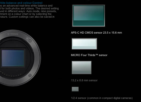 Ccd Size Chart - Ponasa