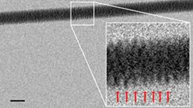 Scientist Snaps First Ever Photograph of DNA's Double Helix