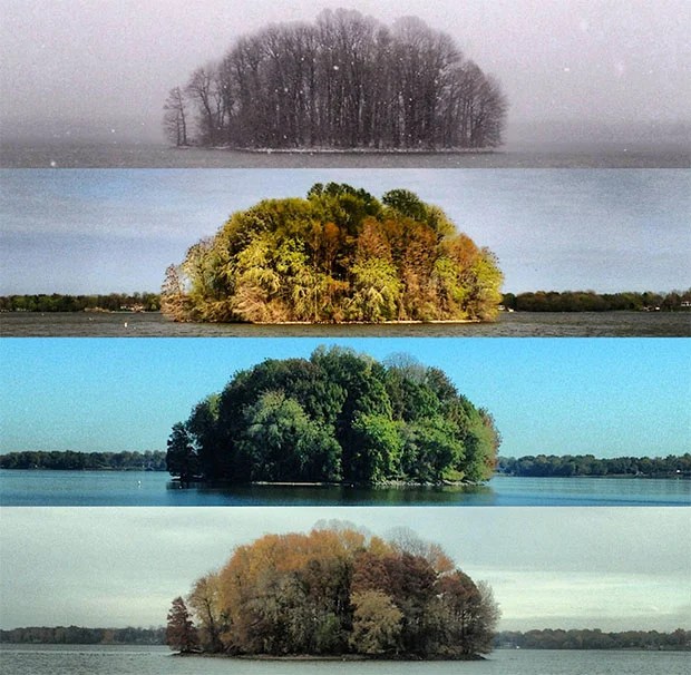 Photos of an Island Across Four Seasons PetaPixel