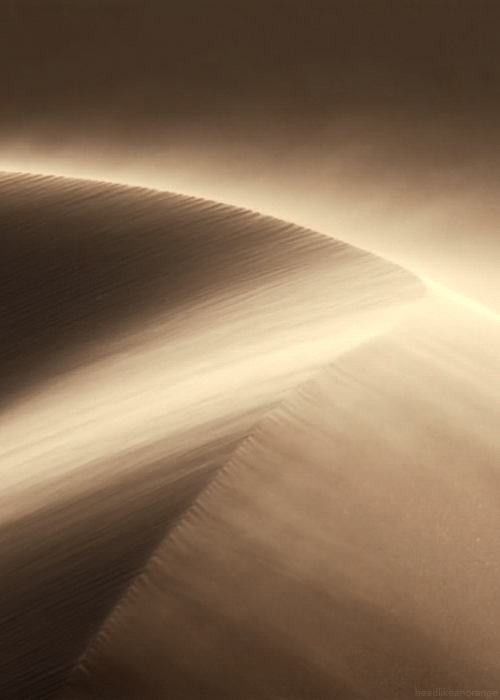 Beautiful Nature Cinemagraphs Created from Wildlife Documentaries