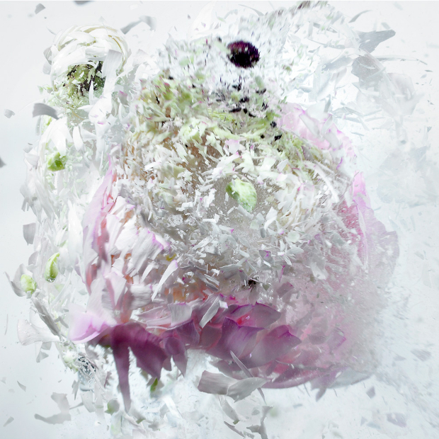 Awesome HighSpeed Photos of Flowers Exploding