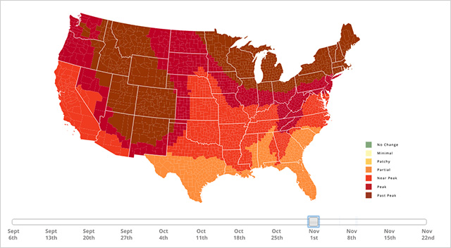 fall foliage 2023 map Interactive and Predictive Fall Foliage Map Will Help You Find the