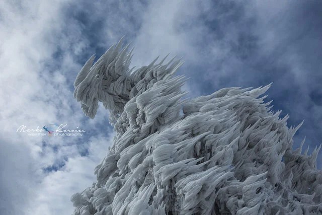 Photos of Beautiful Ice Sculptures That Formed After a Windy Mountain Storm