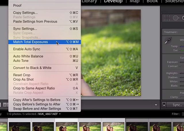How To Apply Auto Tone To All Photos In Lightroom / When To Hit
